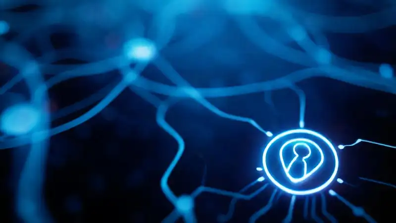 Redes digitales misteriosas e informativas