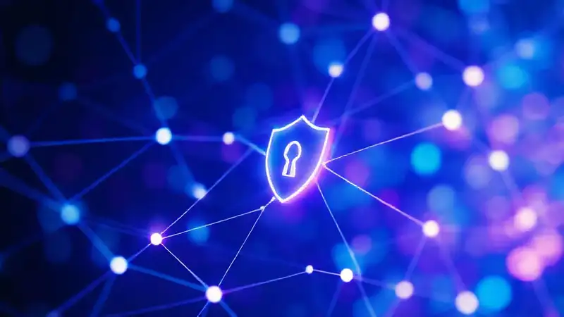 Privacidad digital, diseño vibrante y seguro